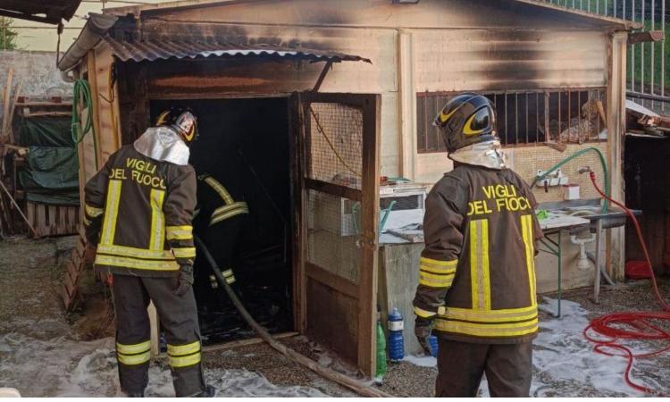 Monte San Giusto, fiamme in un magazzino: intervengono i vigili del fuoco Monte San Giusto, fiamme in un magazzino: intervengono i vigili del fuoco