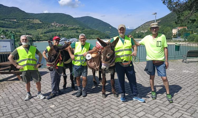 Viaggio a piedi da Tolentino a Norcia in compagnia di due asini: riparte il gruppo "Andamento lento" Viaggio a piedi da Tolentino a Norcia in compagnia di due asini: riparte il gruppo "Andamento lento"
