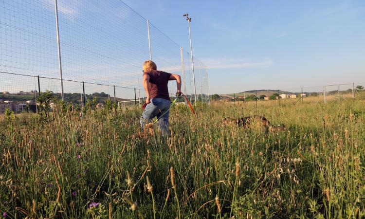 Erba alta e sporcizia a Piediripa, l'appello: "Chiediamo solo di far giocare i nostri figli in sicurezza"