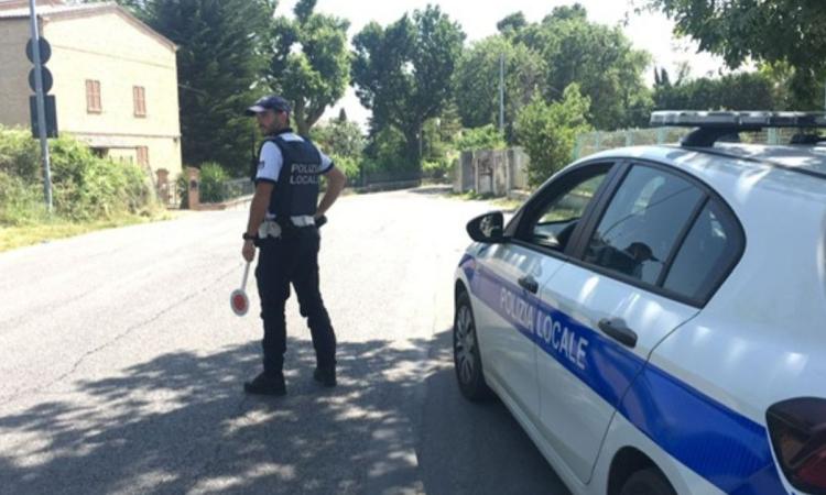Macerata, truffa un'agenzia assicurativa con bonifico falso: denunciato 28enne