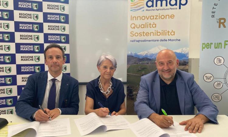 Macerata, crescita formativa degli studenti: protocollo di intesa tra Regione, Riam e Amap