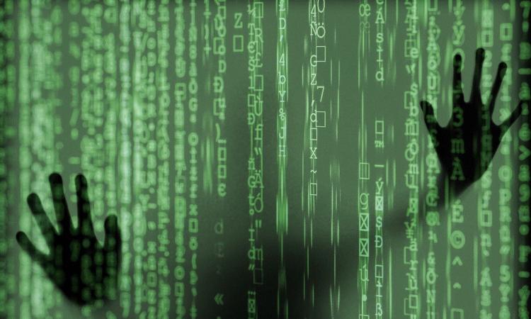 Il futuro della cyber security: come gli universitari possono prepararsi ai ruoli emergenti