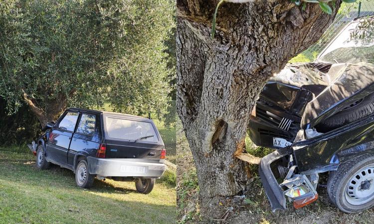 Macerata, finisce con la Panda contro una pianta: uomo in ospedale