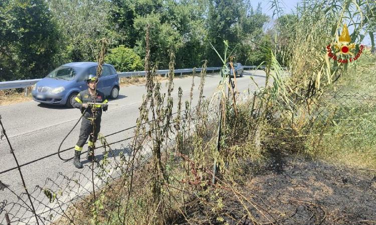 Monte San Giusto, sterpaglie a fuoco lungo la strada: le fiamme si propagano a un uliveto