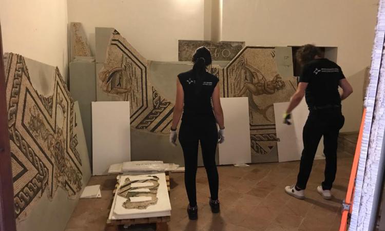 Torna a Matelica l'ultimo mosaico di età romana restaurato Torna a Matelica l'ultimo mosaico di età romana restaurato