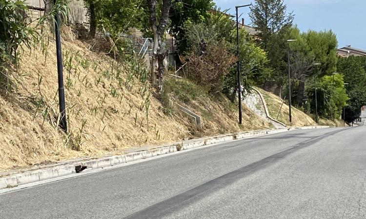 Morrovalle, restyling dei marciapiedi di via Verdi: progetto esecutivo ok Morrovalle, restyling dei marciapiedi di via Verdi: progetto esecutivo ok