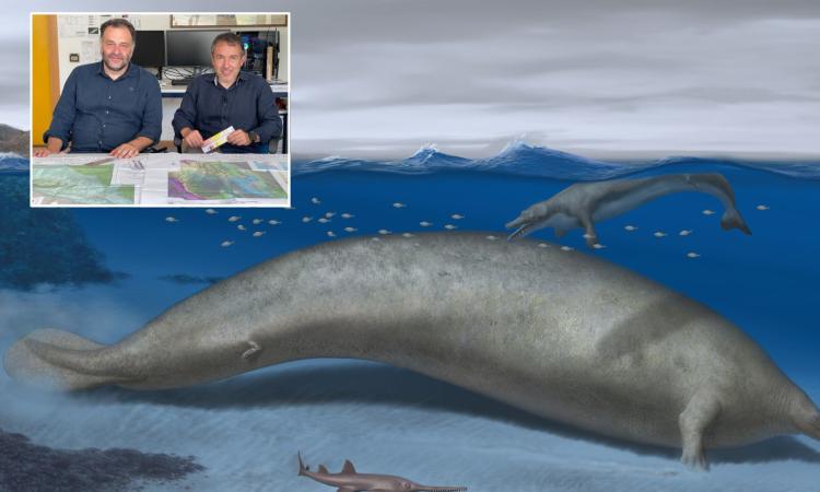 In Perù la scoperta dell'animale più pesante mai vissuto: ricercatori Unicam nel team di studiosi In Perù la scoperta dell'animale più pesante mai vissuto: ricercatori Unicam nel team di studiosi