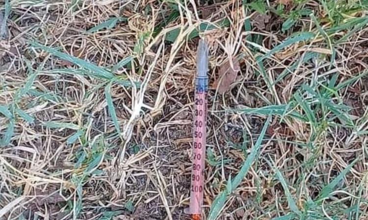 Macerata, siringa abbandonata nei giardinetti: "Un pericolo per i bambini"