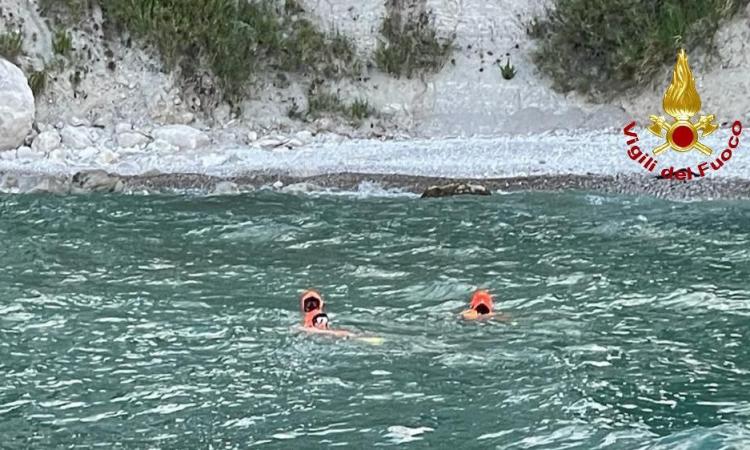 Cucciolo di cinghiale in difficoltà sulla spiaggia: intervengono i sommozzatori dei vigili del fuoco