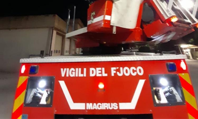 Morrovalle, fiamme in un appartamento: i vigili del fuoco traggono in salvo un cane