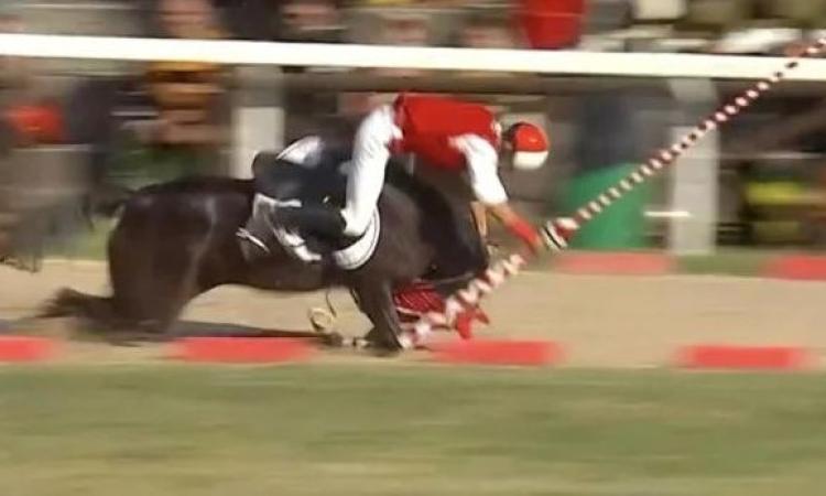 Incidente shock alla Quintana: non ce l'ha fatta il cavallo Look Amazing Incidente shock alla Quintana: non ce l'ha fatta il cavallo Look Amazing