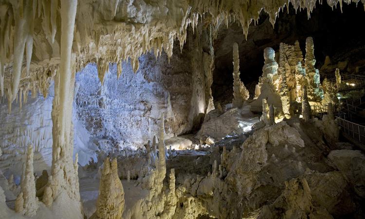 Grotte di Frasassi, nasce il "passaporto del turista": i visitatori diventano cittadini onorari Grotte di Frasassi, nasce il "passaporto del turista": i visitatori diventano cittadini onorari