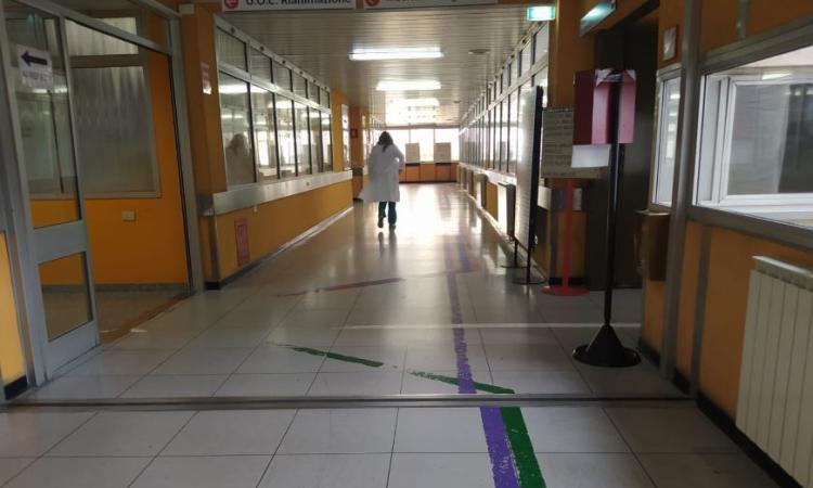 Ast Macerata, prorogati nove contratti a tempo determinato Ast Macerata, prorogati nove contratti a tempo determinato