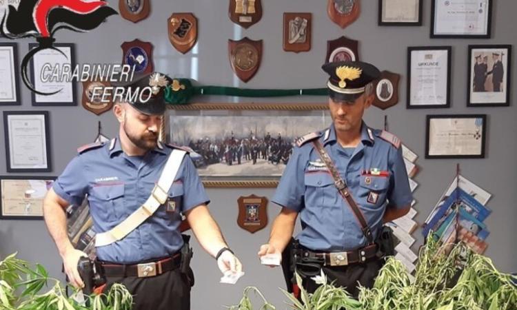 Lite in casa, arrivano i carabinieri e trovano compresse con scritta "Nasa": erano anfetamine, arrestato