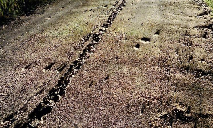 Recanati, mezzo agricolo danneggia gravemente il manto di una strada comunale Recanati, mezzo agricolo danneggia gravemente il manto di una strada comunale
