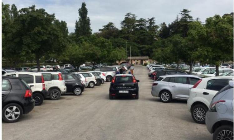 Tarlo asiatico all'Abbadia di Fiastra: in corso l'intervento contro il parassita Tarlo asiatico all'Abbadia di Fiastra: in corso l'intervento contro il parassita