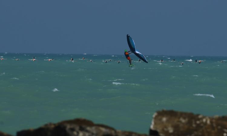 Civitanova, fenicotteri volano sfiorando l'acqua del mare: spettacolo sul lungomare nord (FOTO)
