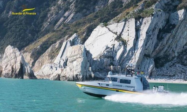 Sorpreso a pescare 4mila ricci di mare: scatta la multa da 2mila euro