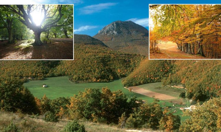 La Riserva del Monte San Vicino e del Monte Canfaito visitabili 'da casa' grazie alla realtà virtuale La Riserva del Monte San Vicino e del Monte Canfaito visitabili 'da casa' grazie alla realtà virtuale