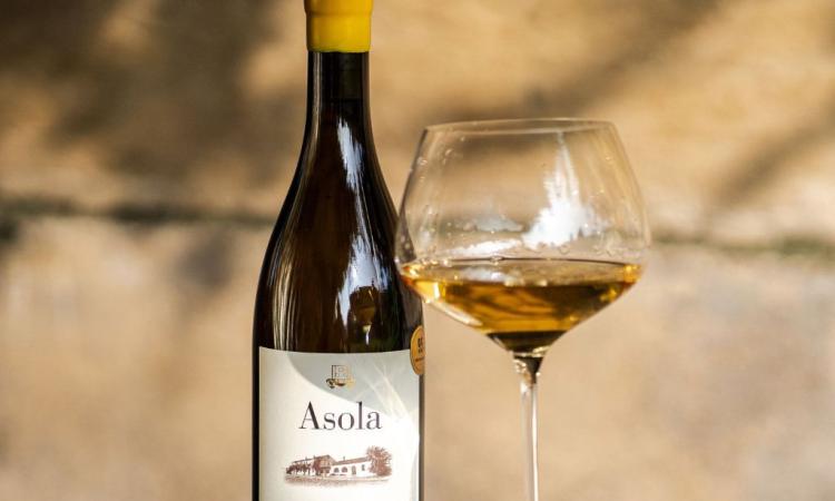 Asola, la Ribona d’oro: Cantine Fontezoppa festeggia il massimo riconoscimento dalla Guida Bibenda Asola, la Ribona d’oro: Cantine Fontezoppa festeggia il massimo riconoscimento dalla Guida Bibenda