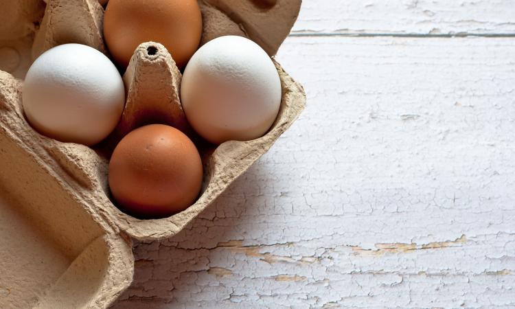 Packaging: anche l'industria alimentare oggi guarda alla sostenibilità Packaging: anche l'industria alimentare oggi guarda alla sostenibilità