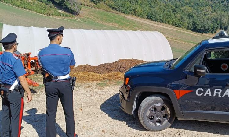 Sversamento di rifiuti nel terreno e lavoratori irregolari: sequestrata azienda agricola di San Ginesio Sversamento di rifiuti nel terreno e lavoratori irregolari: sequestrata azienda agricola di San Ginesio
