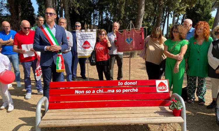 Morrovalle, una panchina rossa per ricordare l'importanza del dono Morrovalle, una panchina rossa per ricordare l'importanza del dono