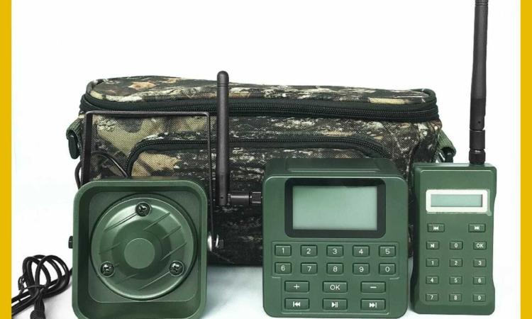 A caccia di quaglie con richiamo acustico illegale: un sequestro a Macerata A caccia di quaglie con richiamo acustico illegale: un sequestro a Macerata