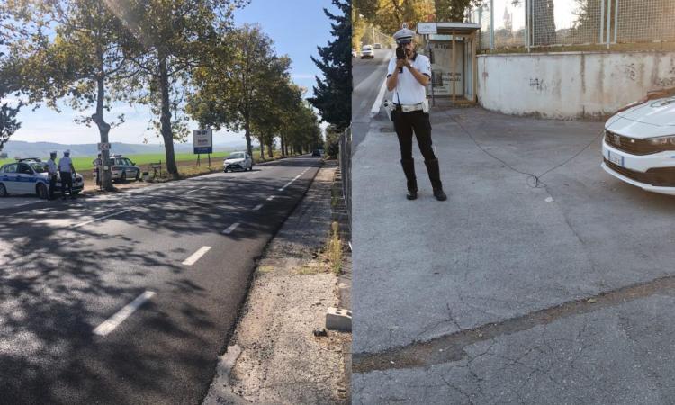 Macerata, fa pubblicità fonica al circo con l'auto ma ha la patente falsa: multato 30enne