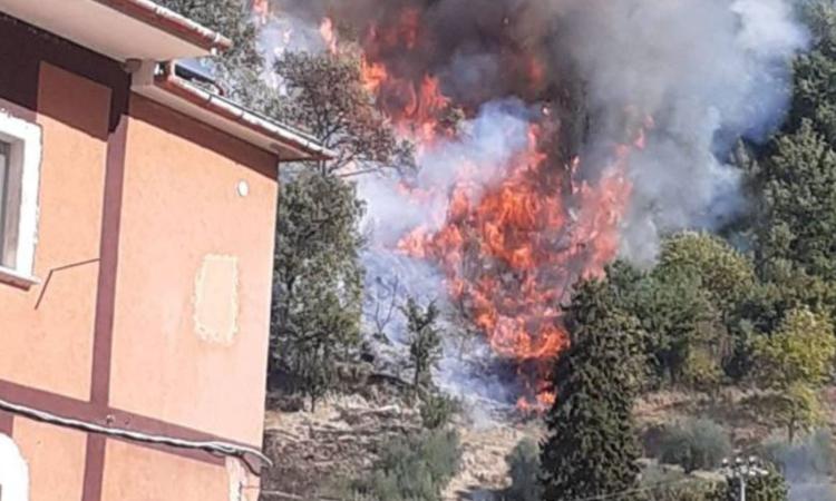 Vasto incendio boschivo: le fiamme minacciano le abitazioni. Chiesto l'intervento del canadair