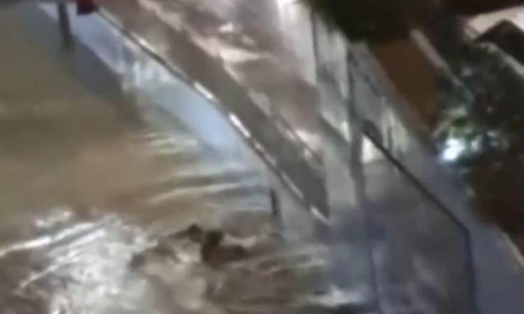 Nubifragio a Civitanova, garage e seminterrati allagati. Uomo impantanato con la bici nel sottopasso