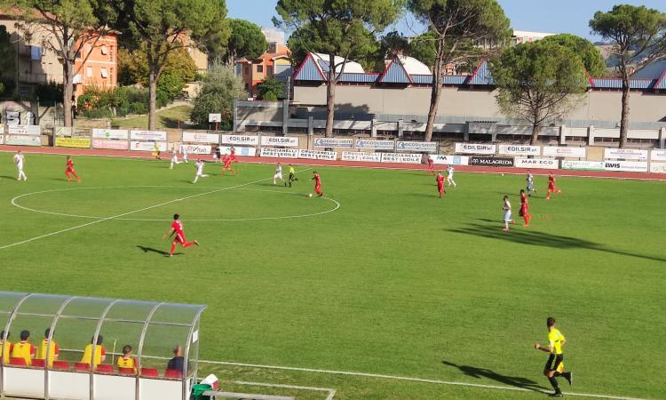 Tolentino-Jesina, un match da "Daspo": venticinquenne aggredisce poliziotto