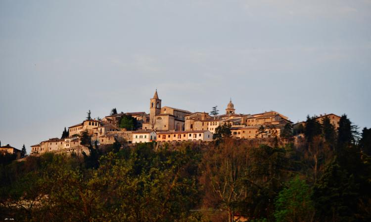 Colline da ri-scoprire fa tappa a Belforte: ciauscolo, formaggi e Vernaccia i protagonisti Colline da ri-scoprire fa tappa a Belforte: ciauscolo, formaggi e Vernaccia i protagonisti