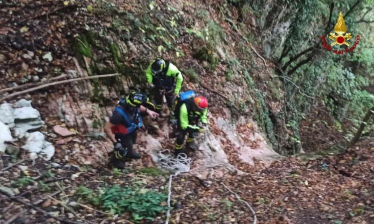 Serravalle di Chienti, cane precipita in una forra: salvato dai vigili del fuoco