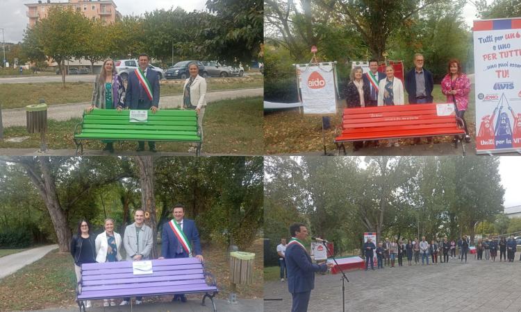 Tolentino, inaugurata la nuova area della solidarietà: "Tre panchine per riposare e riflettere" Tolentino, inaugurata la nuova area della solidarietà: "Tre panchine per riposare e riflettere"