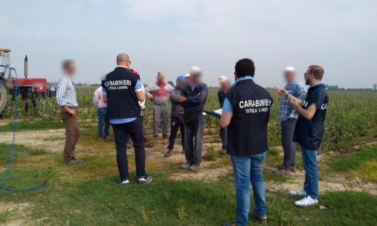 Lavoratori sfruttati nei campi e costretti a pagare per dormire in giacigli fatiscenti: tre arresti