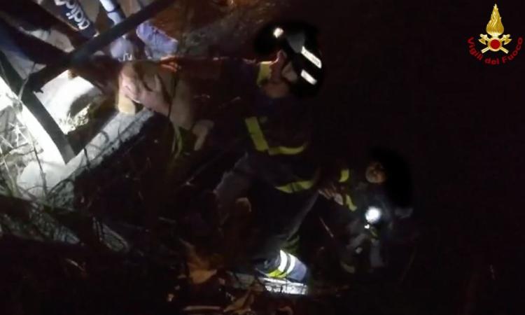 Cane scivola in un fossato: pronto intervento dei vigili del fuoco nella notte Cane scivola in un fossato: pronto intervento dei vigili del fuoco nella notte