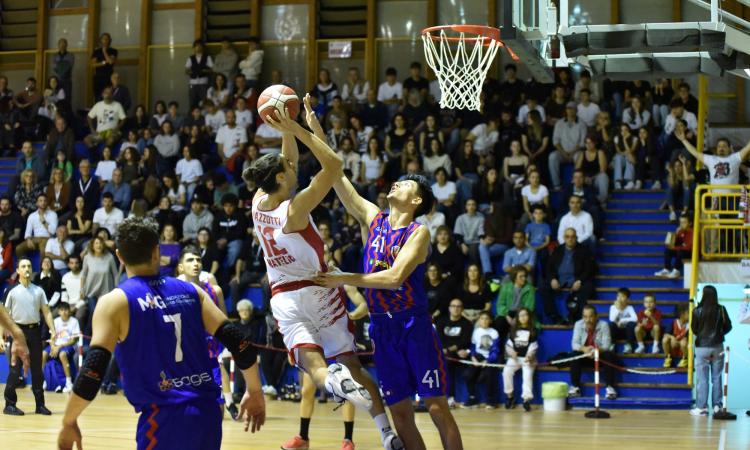 Matelica, l'Halley batte Senigallia e dimentica la debacle di Pesaro