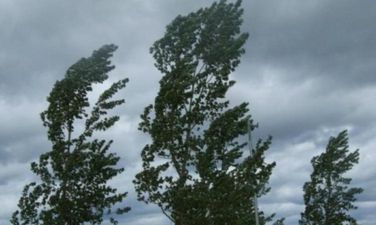 Allerta meteo arancione nelle Marche: tempesta di vento in arrivo