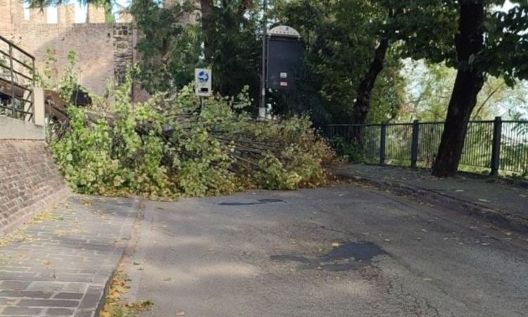 Il vento sferza Tolentino, alberi e rami caduti sulle strade: messa in sicurezza la croce di San Nicola