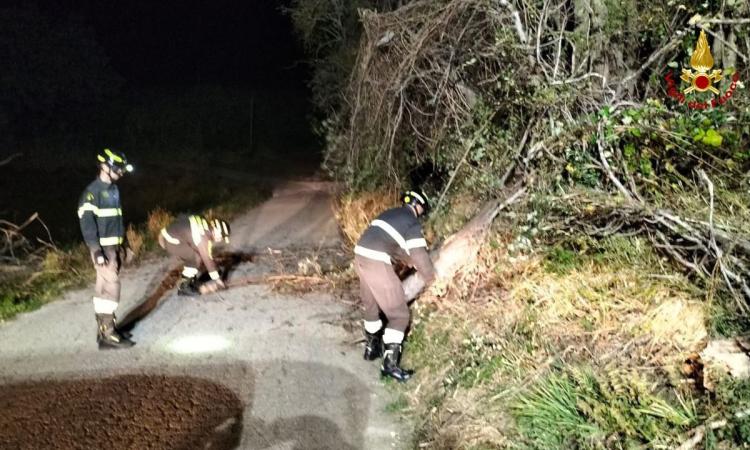 Venti di burrasca sferzano ancora le Marche: scatta l'allerta meteo arancione