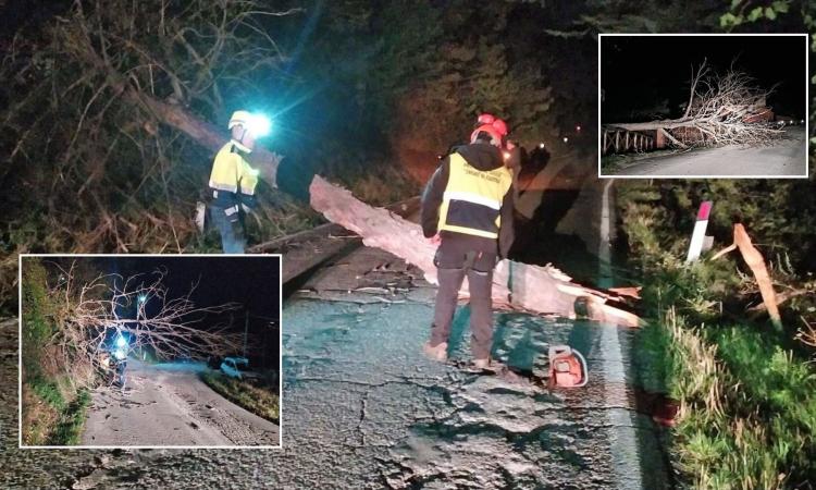 Fiastra, notte di paura a causa del maltempo: alberi in strada e corrente saltata