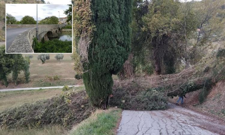 San Severino, maltempo: via Ponte Sant'Antonio chiusa al transito per rimozione tronchi