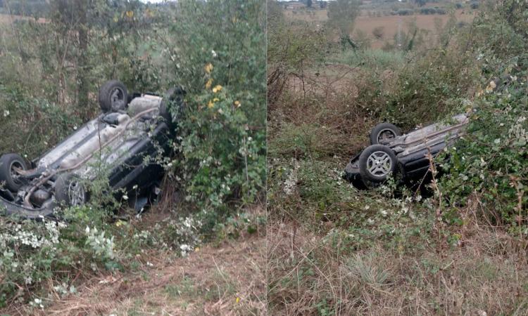 Civitanova, finisce in un dirupo con l'auto per evitare un cinghiale: donna in ospedale