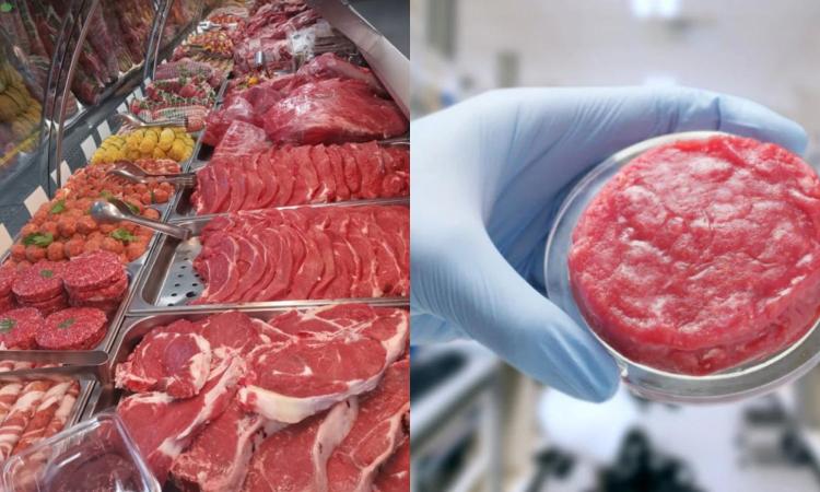 Carne sintetica, c'è chi dice sì nonostante il Governo: "Pronto a venderla nel mio bancone"