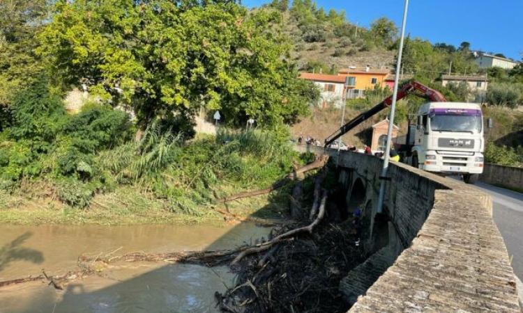 Rimozione di tronchi dal fiume: chiude il ponte Sant'Antonio a San Severino Rimozione di tronchi dal fiume: chiude il ponte Sant'Antonio a San Severino