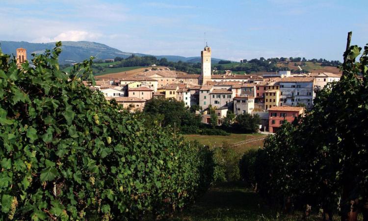 Matelica è il primo comune della provincia di Macerata a digitalizzare i registri dello stato civile Matelica è il primo comune della provincia di Macerata a digitalizzare i registri dello stato civile