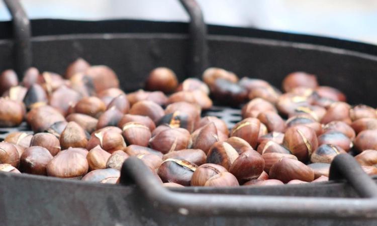 San Severino festeggia l'autunno con castagne, vin brulè e musica in piazza