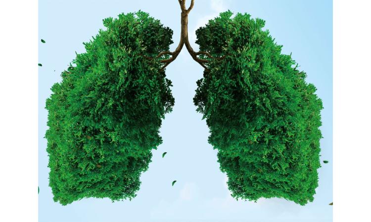 Legambiente Marche aderisce al progetto europeo "Life Terra"