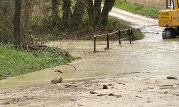 Buone pratiche agricole contro il rischio idrogeologico: incontro sul tema a Treia Buone pratiche agricole contro il rischio idrogeologico: incontro sul tema a Treia